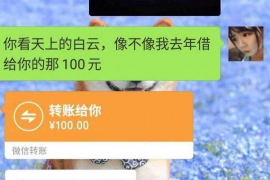 汝城为什么选择专业追讨公司来处理您的债务纠纷？
